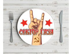 Тарелка Сектор Газа, Юрий Хой №2