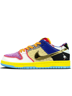 Nike Sb Dunk Low Pro What The