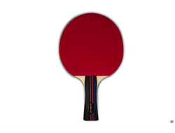 Ракетка для настольного тенниса Gambler 1 STAR (коническая)  купить в Воронеже