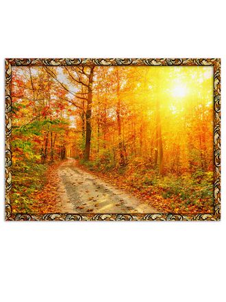 Картина на стену в раме 102баг 40*50 "Солнце в лесу".