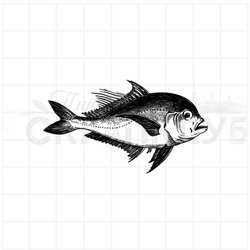 штамп Рыбина