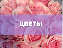 Цветы и букеты