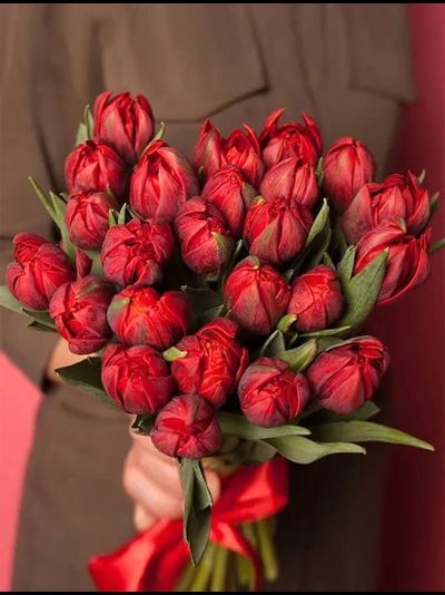 25 пионовидных тюльпанов