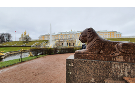 Царское Село+ Гатчина/ Павловск/Петергоф/ Кронштадт, Выборг