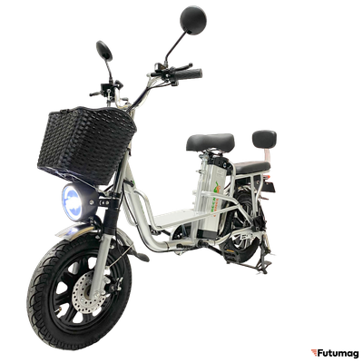 Электровелосипед GreenCamel Транк Монстр (R16FAT 800W 48V15Ah) гидравл. тормоз