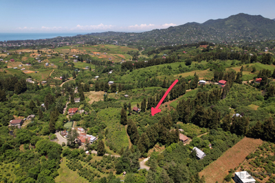 Продаётся земельный участок в Чакви - пригород Батуми.  Цена: 20$/м²