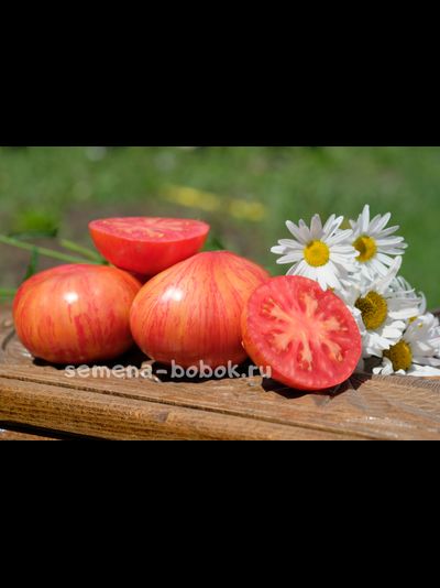 Томат Vintage Wine (Винтажное Вино), 10 шт