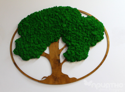 ЖИВАЯ ЭКО-КАРТИНА 1014 (100х75см)