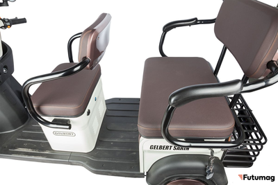 Электротрицикл Rutrike Gelbert Sarin 48V/60V 1000Вт коричнево-белый