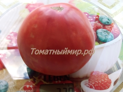 Томат Король Кинг