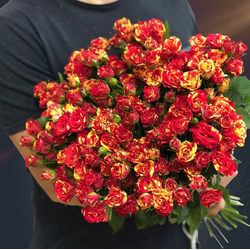 Классический букет из 35 кустовых роз