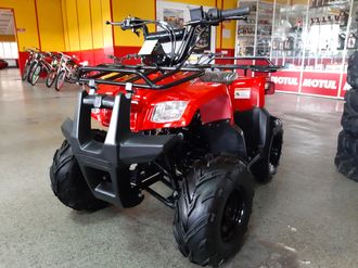 MotoLand ATV RIDER 110