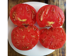 Томат Топтыгин