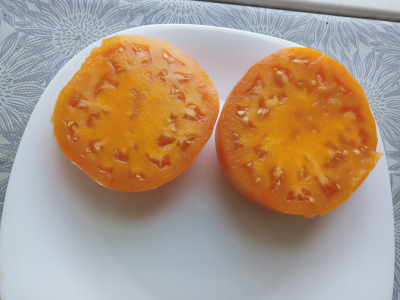 Томат Желтый гигант Клода Брауна (Claude Brown’s Yellow Giant) США