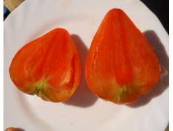 Томат Чудо Волфорда (Wolford Wonder)