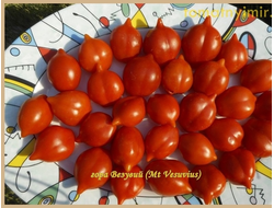 Томат Гора Везувий (Mt.Vesuvius, Mountain Vesuvius)