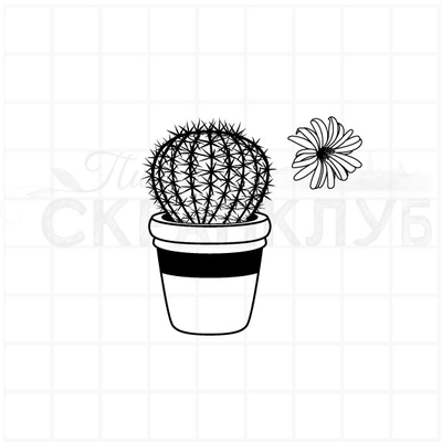 ФП штамп "Кактус" 3