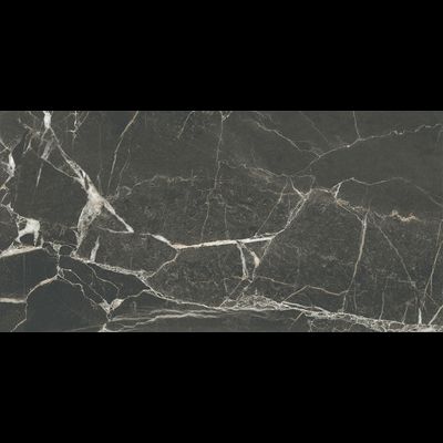 SILKMARBLE, керамогранит, 60x120 см, Порто Неро, Матовый (8 мм), K950299R