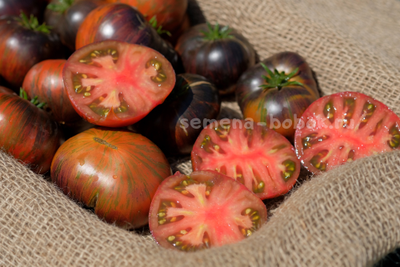 Томат Dwarf Rebel Starfighter Dipper's Delight (Гном Восставший Звездный Истребитель Восторг Диппера), 10 шт