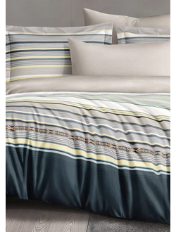 Постельное белье Cleo евро сатин 200х220х1 220х240х1 50х70х2 70х70х2 31/016-SL