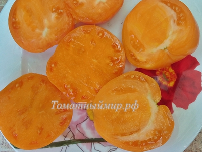 Томат Регби оранжевый (Rugby orange, США)