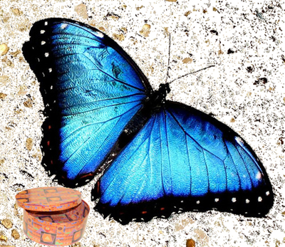 Разноцветный салют из 30 шт. бабочек. Микс из самых разных бабочек.