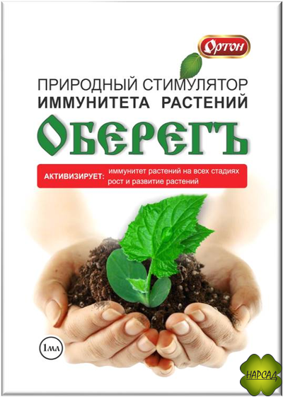ОБЕРЕГЪ. ПРИРОДНЫЙ СТИМУЛЯТОР ИММУНИТЕТА