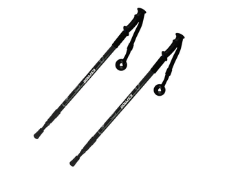 Палки для скандинавской ходьбы Espado ENW-003 3-х секционные, чёрный