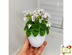 ЛЕ-Котёнок Мяу (Е. Лебецкая) 2016 г. (2 листа с детками в 1 стаканчике)