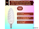Philips Twisted Candle BW 5w 827 E14