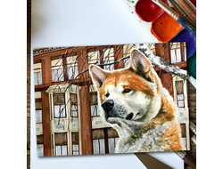 Волчонок. Уютный вечер