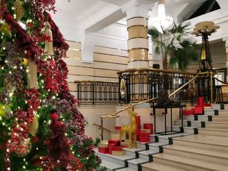 Красные птицы  и много ягоды на зеленой ели 3 м.(аренда)