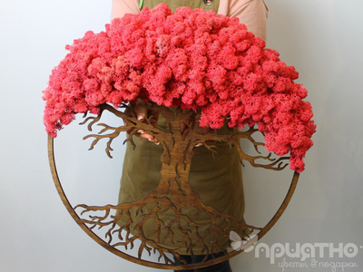 ЖИВАЯ ЭКО-КАРТИНА 1023