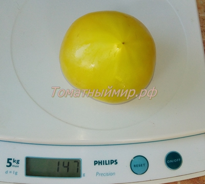 Томат Буденовка зеленая (Украина)