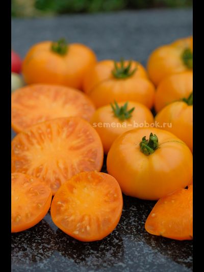 Томат Dwarf Loxton Lad (Гном Парень из Локстона), 10 шт