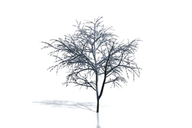 Создание щитов Billboards для Artlantis 5 - Artlantis 2021 (по вашей текстуре в формате png, tif, tga и т.п. с маской прозрачности)