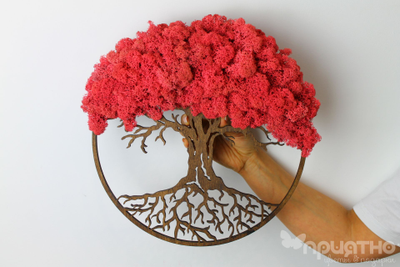 ЖИВАЯ ЭКО-КАРТИНА 1026