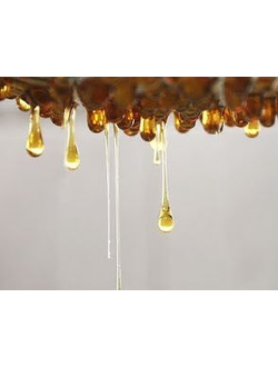 Honey (Miel Oliffac) IFF / Мед, 2.5 мл