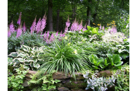 ГОТОВЫЕ РЕШЕНИЯ ПОД ВАШ ЗАПРОС (в стоимость входят растения!)