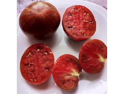 Томат Гном Восторг Диппера (Dwarf Rebel Starfighter Dipper’s Delight)