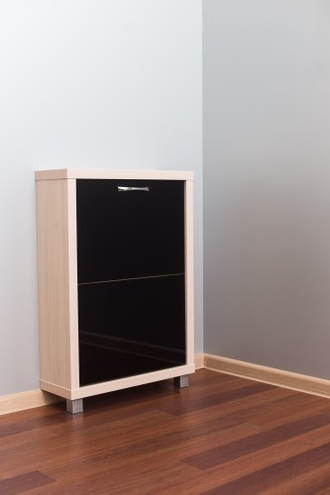 Обувница Айрон-2 (фасад стекло черное)