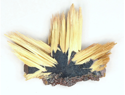 Редкость! Рутил свободного роста, сростки "звезды" золотистых игольчатых кристаллов на кристаллах гематита, Бразилия (31*23*4 мм, 2,8 г) №37921