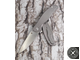 Складной нож  Shirogorov Khati titanium silver