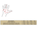 Перчатки "Lobster THUMB" Spes