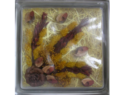 Стеклоблок декоративный Различная тематика РТ_013 (А) 19х19х8 см