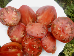 Томат Томат Лонгхорн (Longhorn)