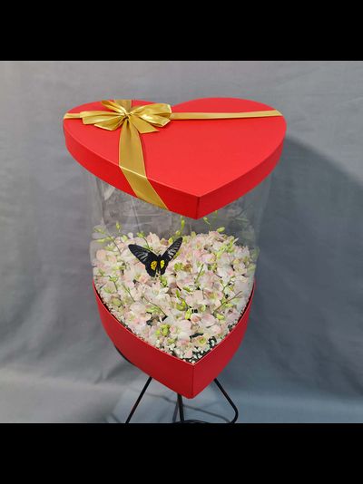 Большой букет с орхидей 201 шт. с большой бабочкой №111