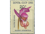 6251. Орхидеи. Калипсо луковичная