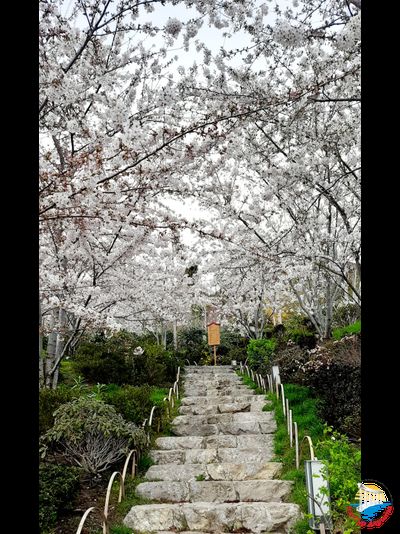 Крым на Майские с 1 по 9 мая