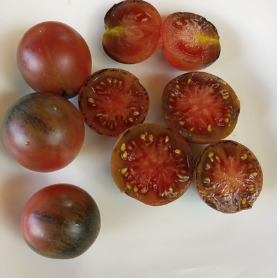 Томат Шоколадный подарок